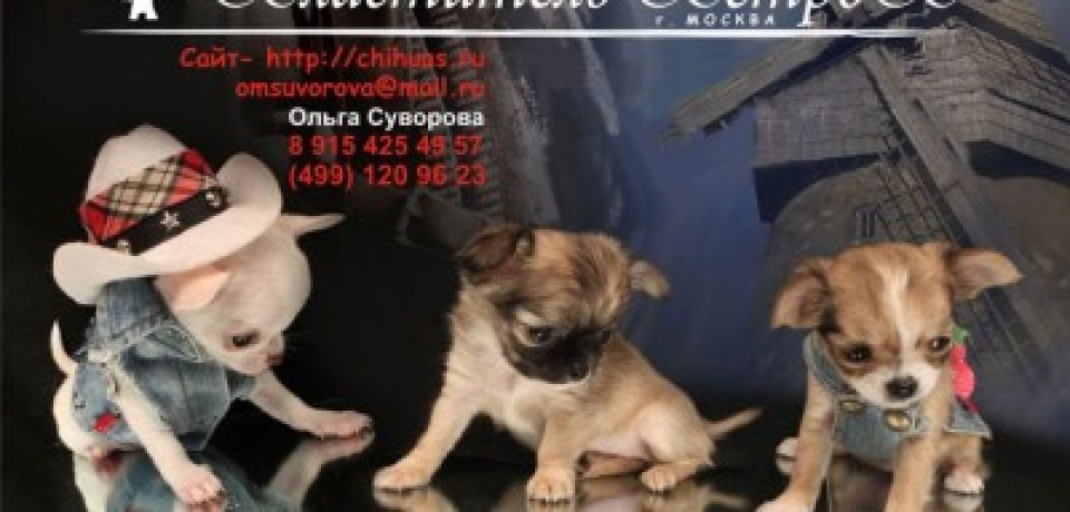 Как правильно оценивать потенциал нового рынка