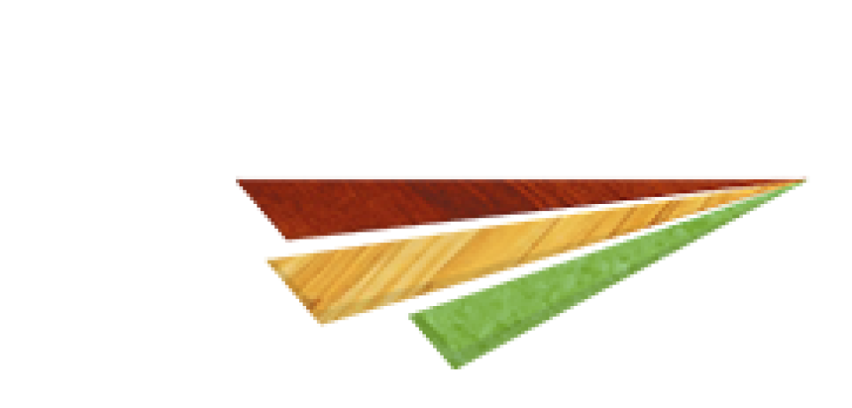 Как правильно управлять финансами в компании